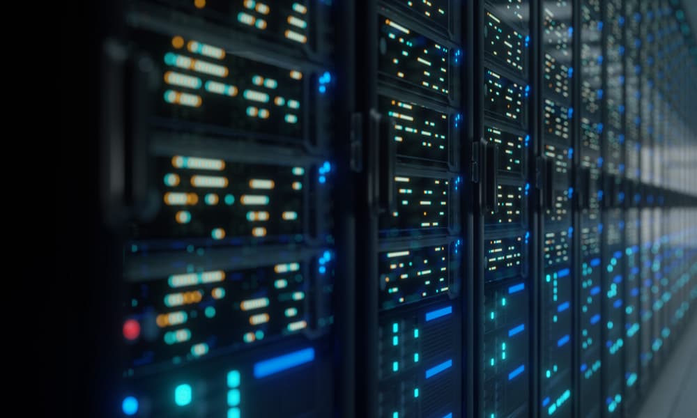 web hosting web hosting