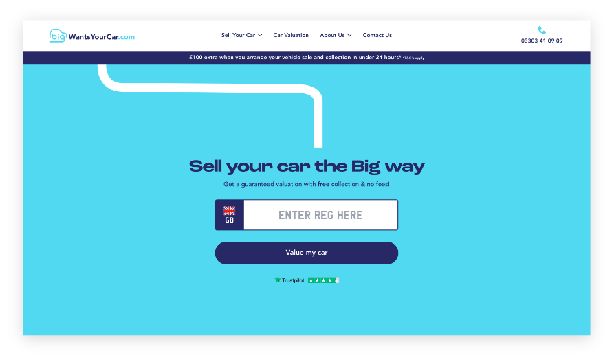 bigwants bigwants